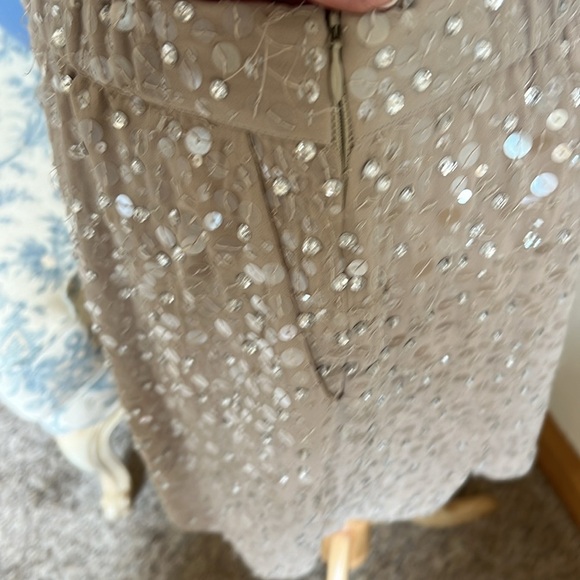 Ann Taylor Silk Beaded Skirt Size S Pockets Side Zip Stretch Waist - Picture 9 of 10